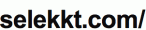 Schriftzug selekkt.com