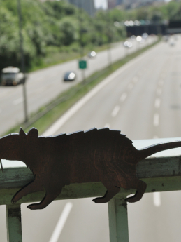 <p><a title="direkt bestellen" href="/tiere/ratte.html">Ratte auf Autobahnbrücke</a></p>