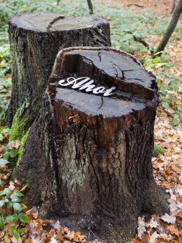 Ahoi am Baum