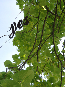 <p><a title="direkt bestellen" href="/woerter/yes.html">yes im Baum</a></p>
