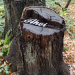 Ahoi im Wald