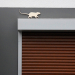 Ratte in Ehrenfeld